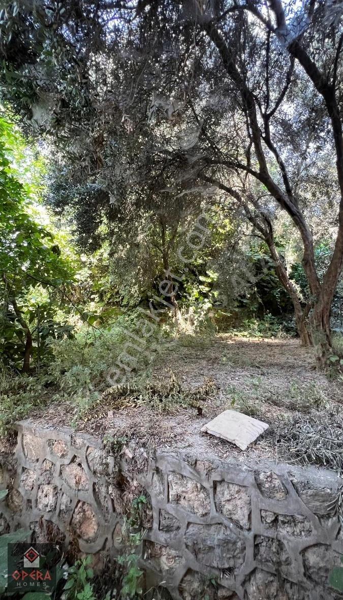 Kiralık Deniz Manzaralı Bahçe Dubleks - Görsel 23