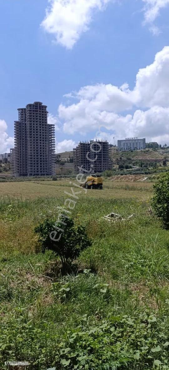 Altın Vadi Civarında Satılık Arsa - Görsel 3