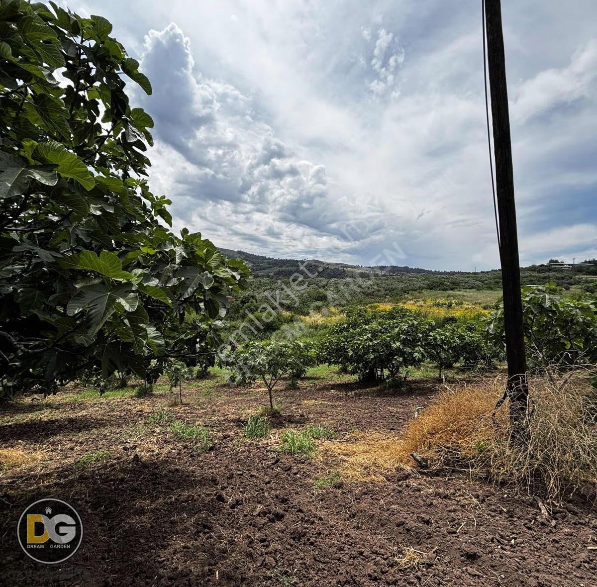 Dürdane'de Yalova Yoluna Cephe 2543m2 Yatırımlık Meyve Bahçesi - Görsel 8