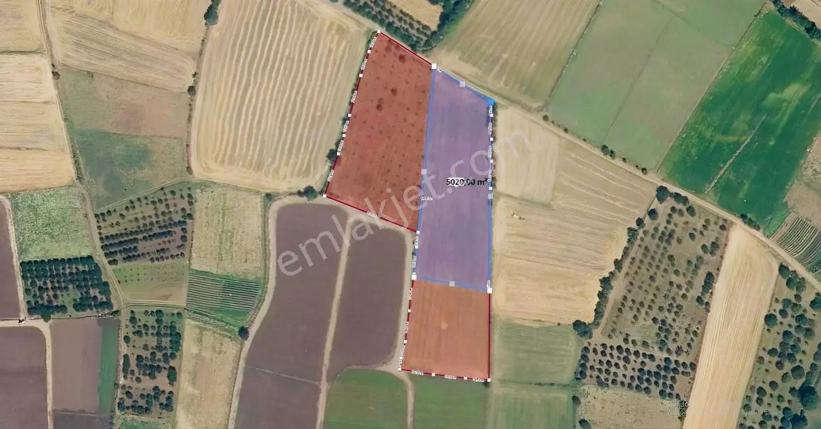 Tokat Merkez Pınarlı Köyü'nde 5020 M2 Satılık Tarla-arazi