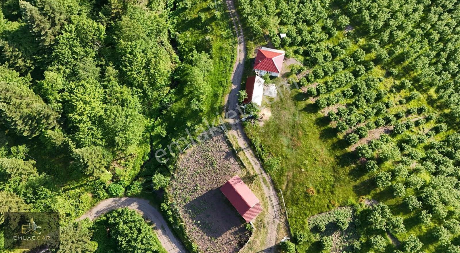 Yeniyayla Da Satılık Konut İmarlı 2b Alanı Olan Arsa . - Görsel 10