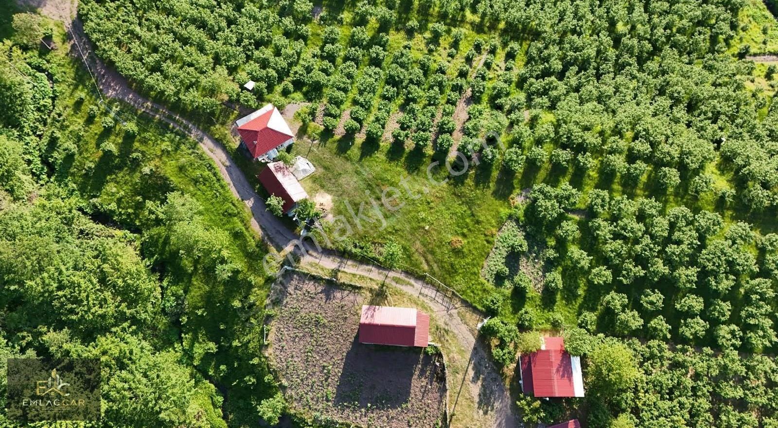 Yeniyayla Da Satılık Konut İmarlı 2b Alanı Olan Arsa . - Görsel 6