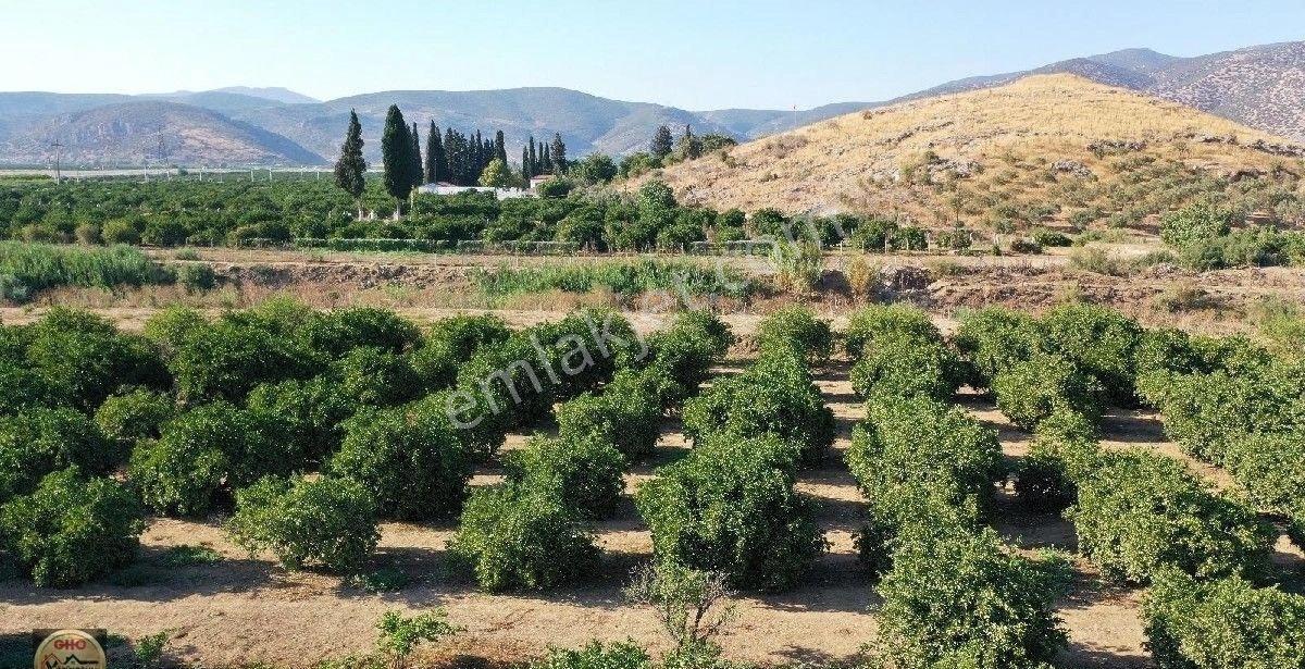 Selçuk Toki Karşısı Satılık Arazi - Görsel 15