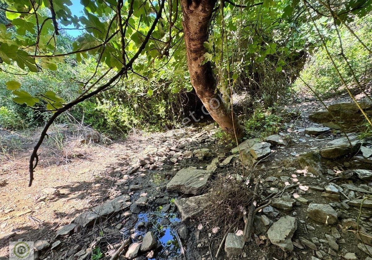Milas / Epçe Kızılarmut’ta Satılık 1,914 M² Hazır Kuyulu Bakımlı Zeytin Ağaçlı Yatırım Fırsatı - Görsel 14