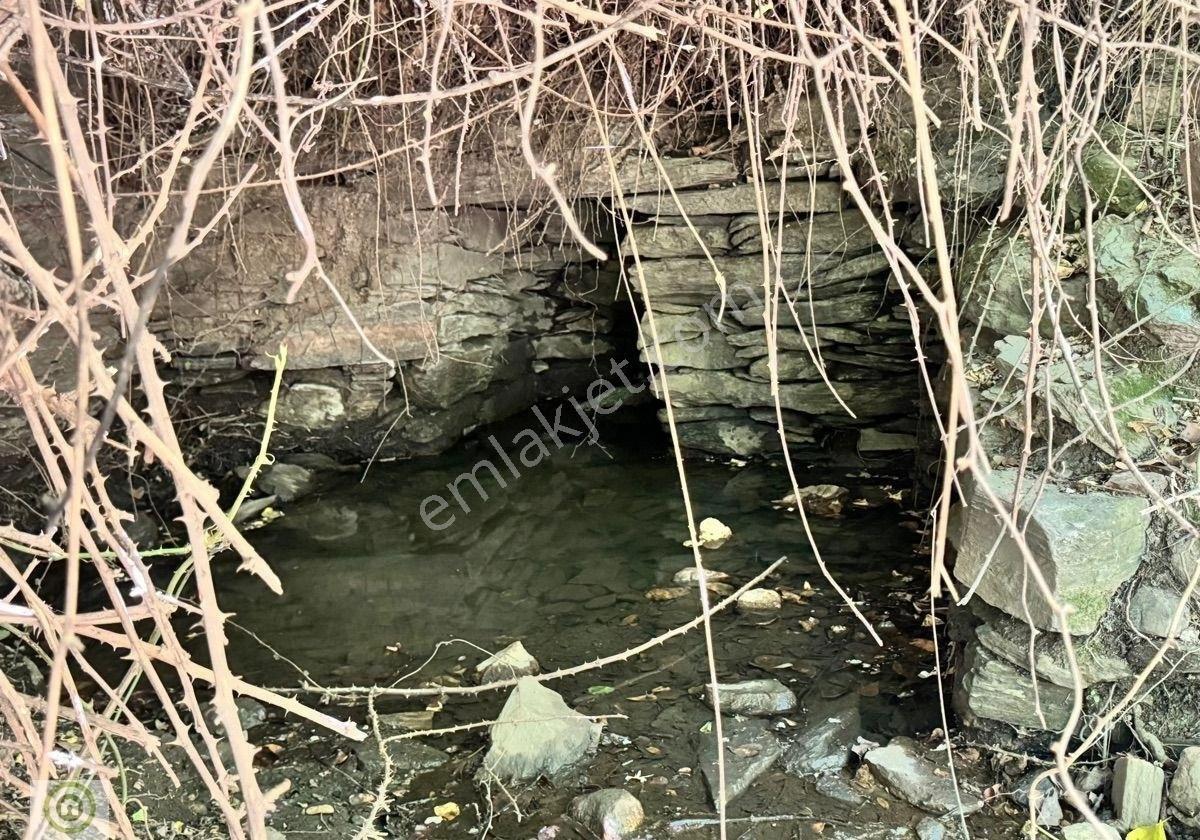 Milas / Epçe Kızılarmut’ta Satılık 1,914 M² Hazır Kuyulu Bakımlı Zeytin Ağaçlı Yatırım Fırsatı - Görsel 6