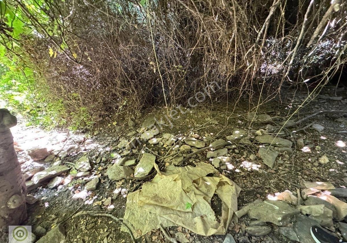 Milas / Epçe Kızılarmut’ta Satılık 1,914 M² Hazır Kuyulu Bakımlı Zeytin Ağaçlı Yatırım Fırsatı - Görsel 23