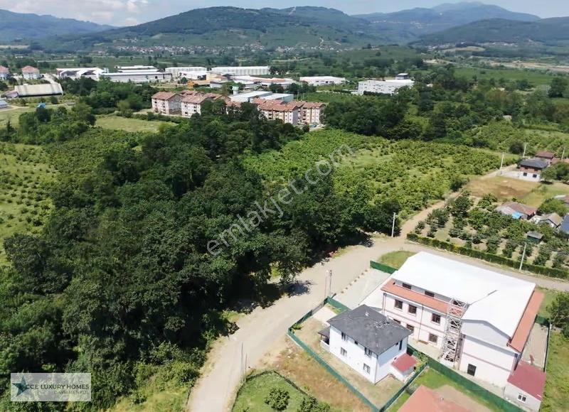 Düzce Cumayeri Çerik'de 0/45 4 Kat İmarlı Satılık Arsa - Görsel 11