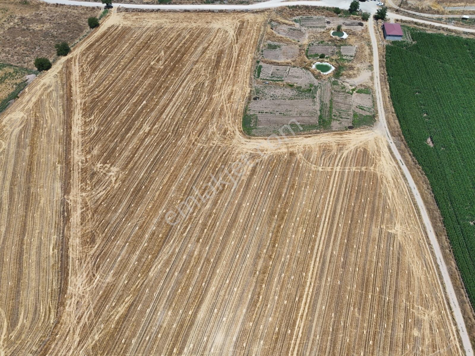 Coldwell Bankerden Dereköy'de Satılık Tarla (2225m²) - Görsel 7