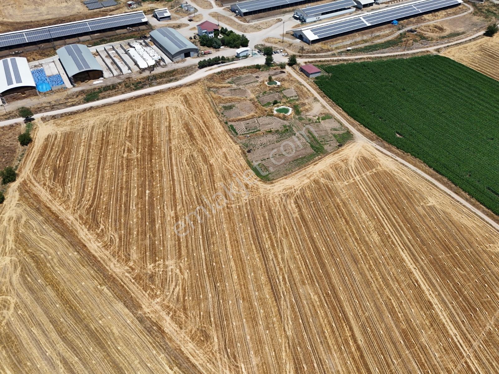 Coldwell Bankerden Dereköy'de Satılık Tarla (2225m²) - Görsel 13