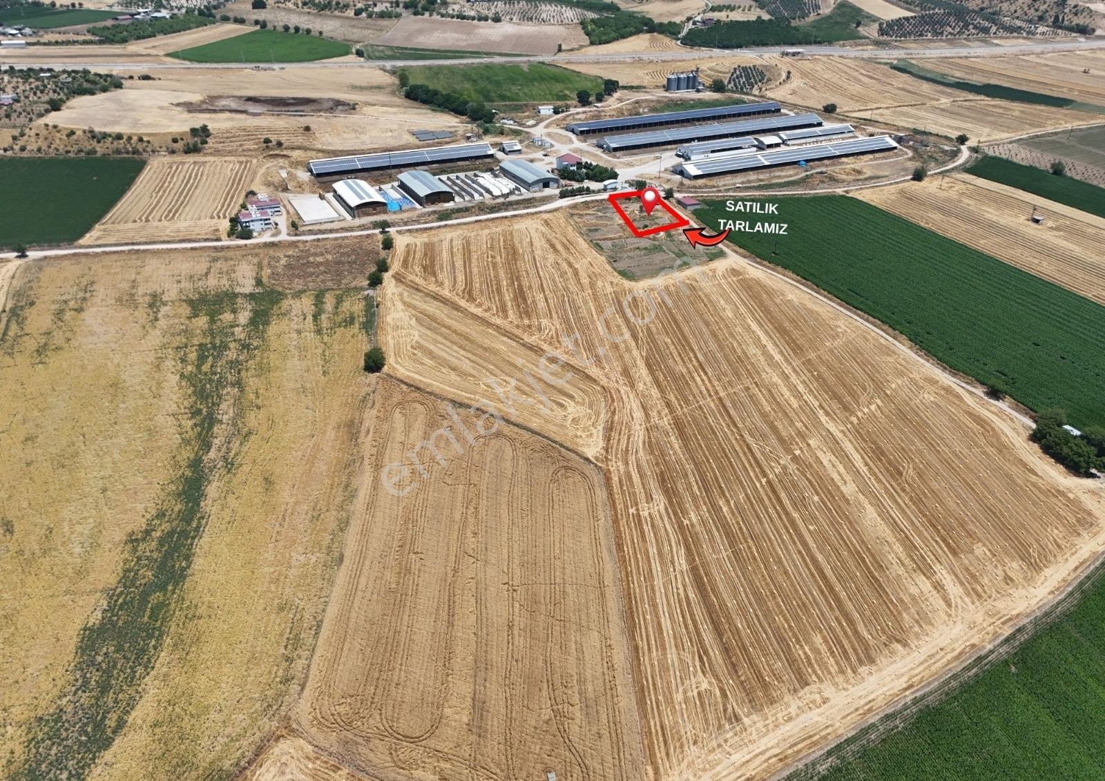 Coldwell Bankerden Dereköy'de Satılık Tarla (2225m²) - Görsel 11