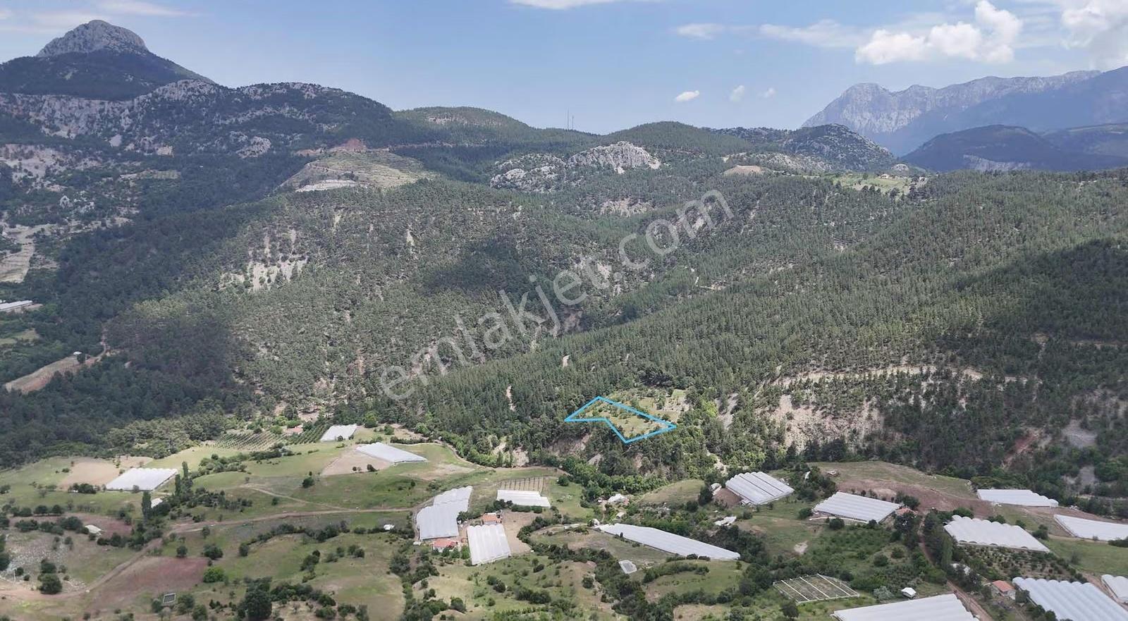 B&f Hurma Emlaktan Doyran Yaylasında 5060m2
