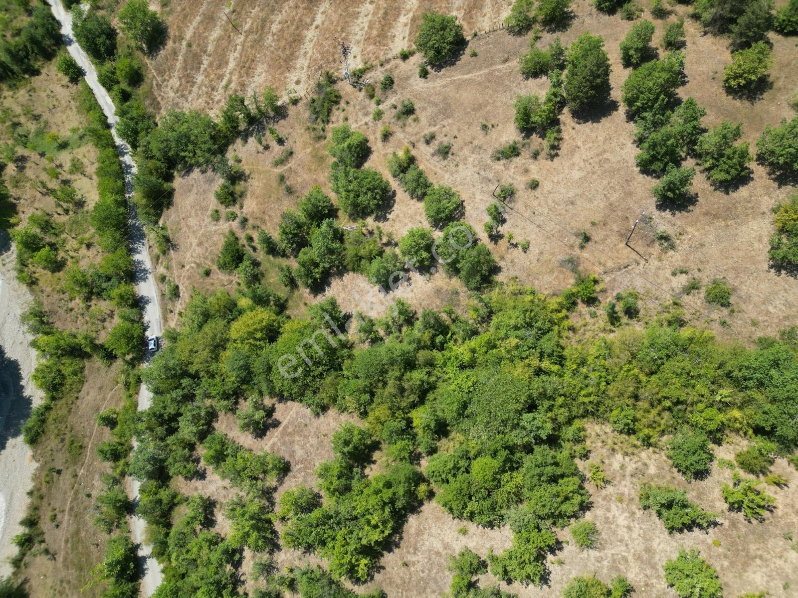 Bartın Zafer Köyünde 592 M2 İmarlı Arsa - Görsel 3