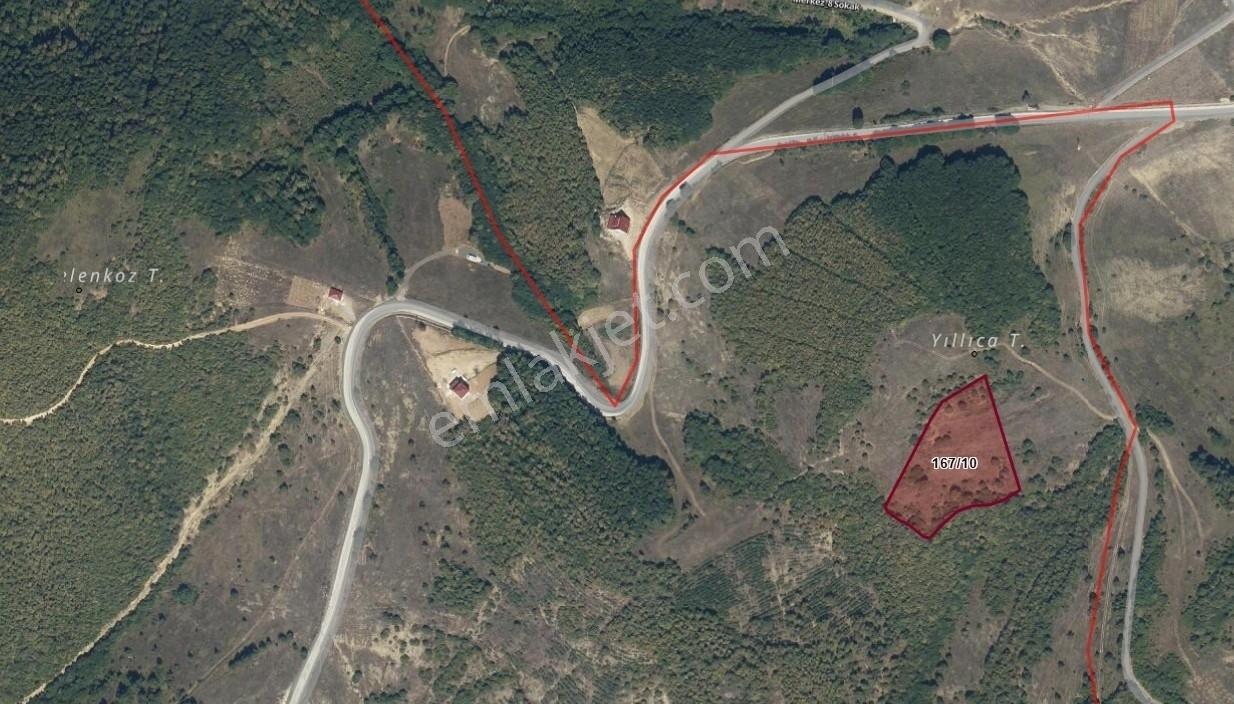 Satılık | Çakallı'da Ormanın Kucağında Yatırımlık 9.462 M2 Tarla - Görsel 4