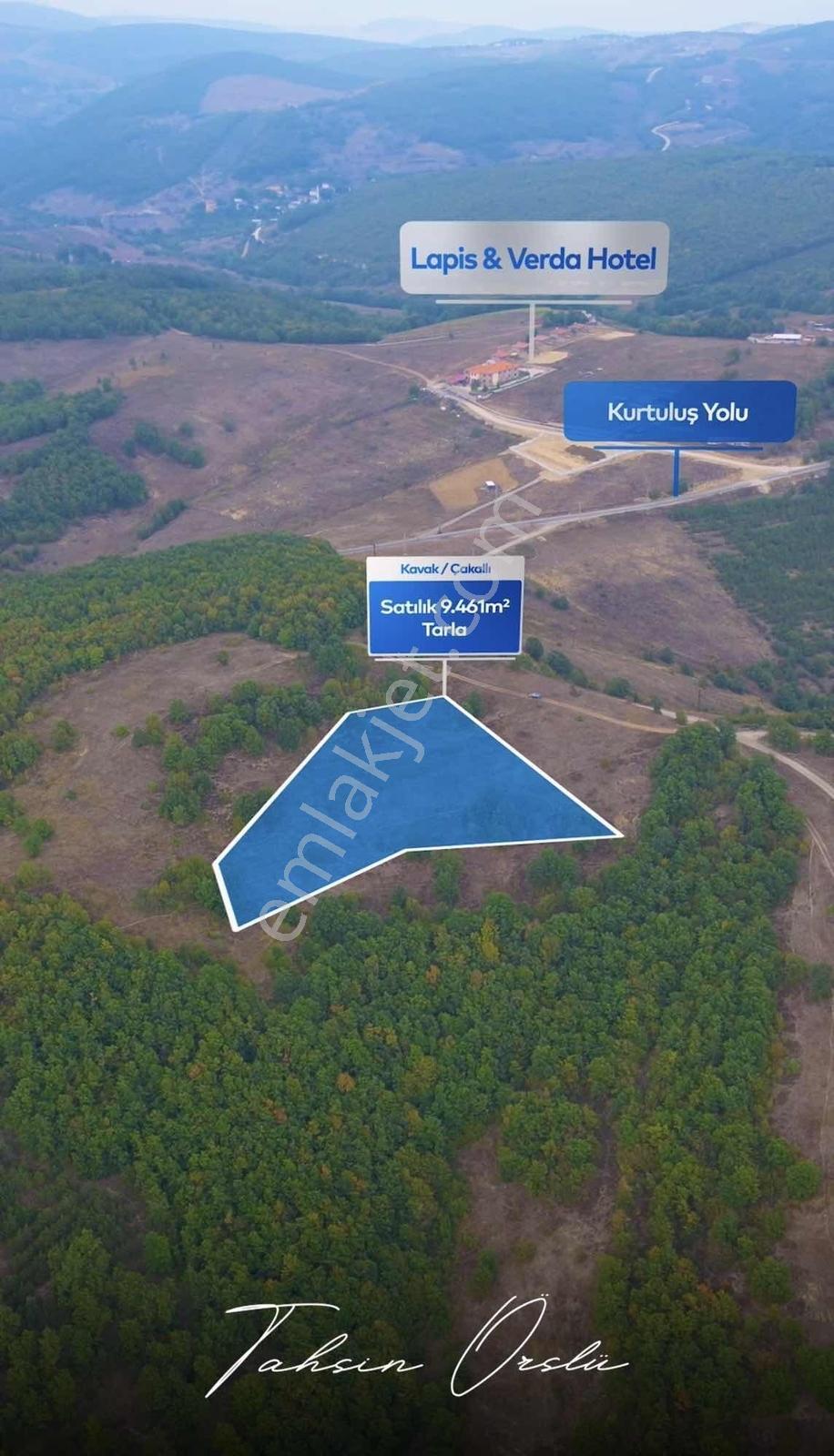 Satılık | Çakallı'da Ormanın Kucağında Yatırımlık 9.462 M2 Tarla - Görsel 8
