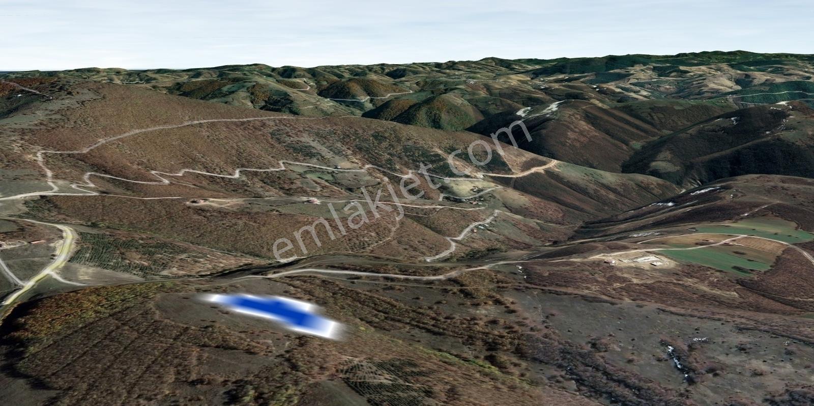 Satılık | Çakallı'da Ormanın Kucağında Yatırımlık 9.462 M2 Tarla - Görsel 24