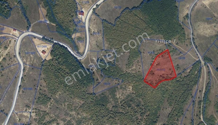 Satılık | Çakallı'da Ormanın Kucağında Yatırımlık 9.462 M2 Tarla - Görsel 28