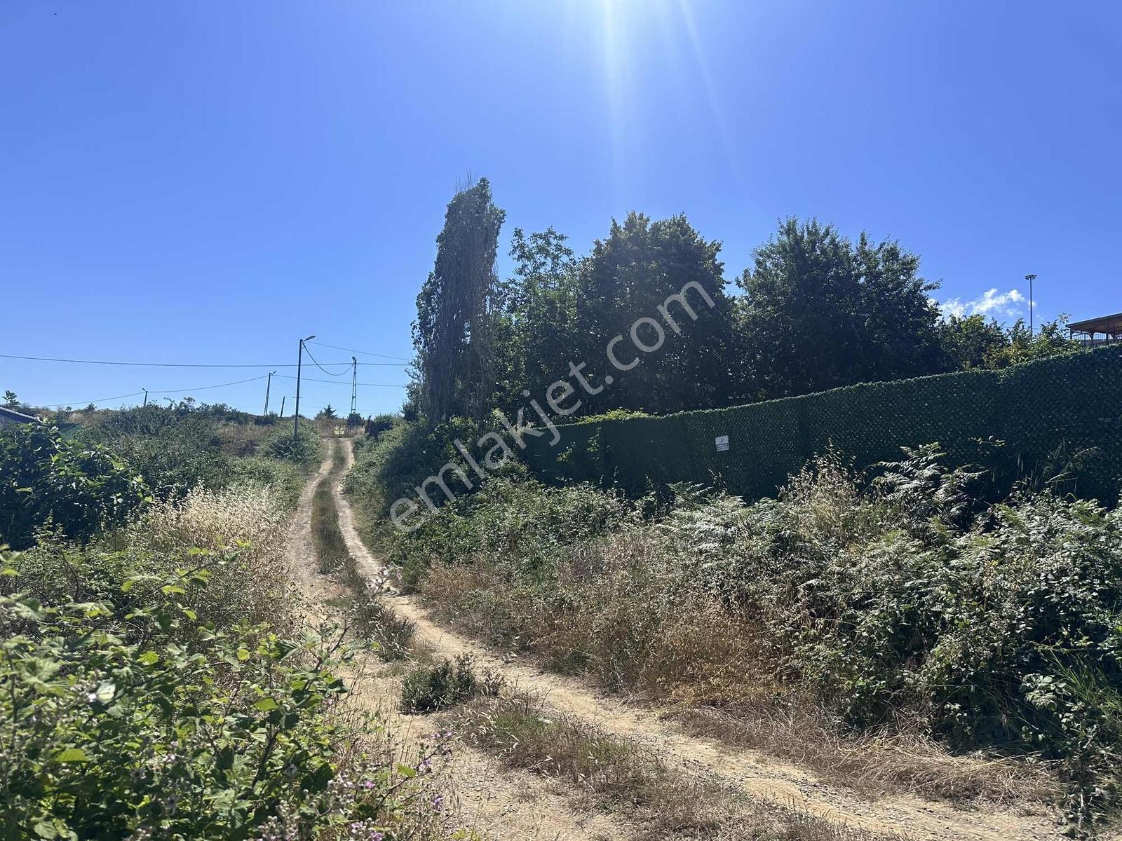 Satılık 370 M2 Çevrili Mükemmel Arsa - Görsel 6