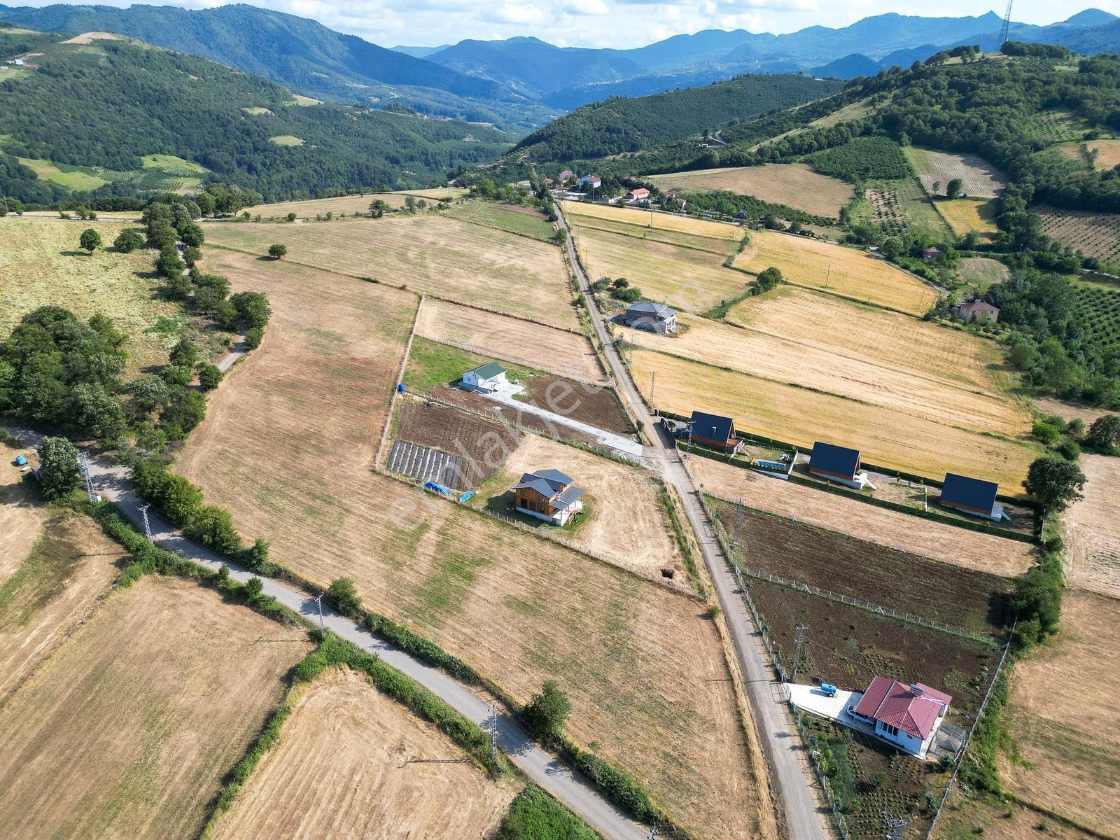 19 Mayıs Çepinler'de Villa Sitesi Yapımına Uygun 9.795 M2 İmarlı - Görsel 8