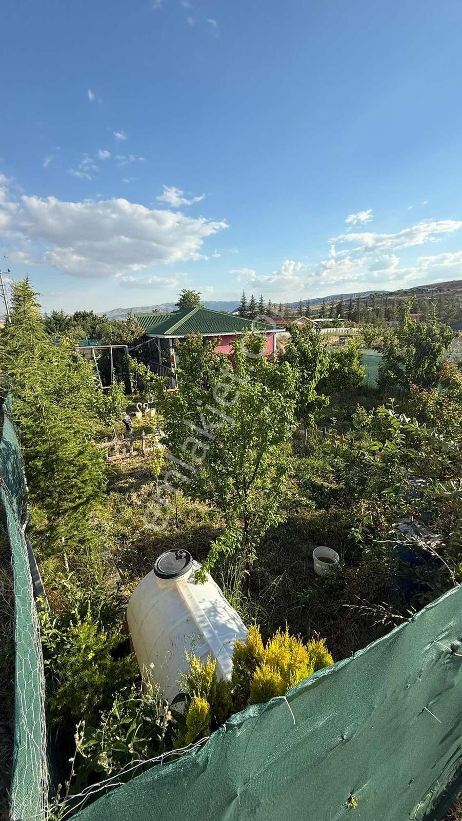 Ayaş Tekke'de 350 M2 Hisse Tapulu Teli Çekili İmarlı Arsa Tapulu - Görsel 5