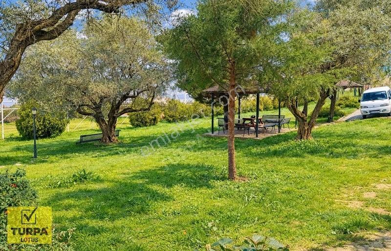 Turpa Lotustan Site İçerisinde 3+1 Ebeveyn Banyolu Kiralık Daire - Görsel 11