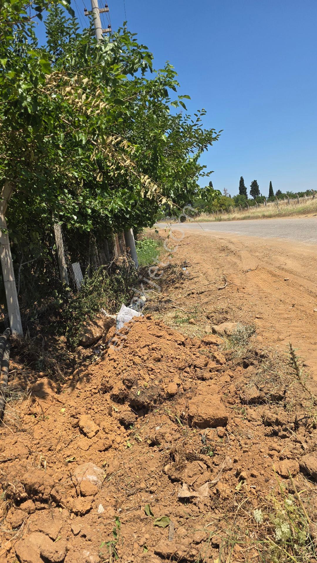 Bal Gayrimenkul Den 250m2 Satılık Bahçe - Görsel 14