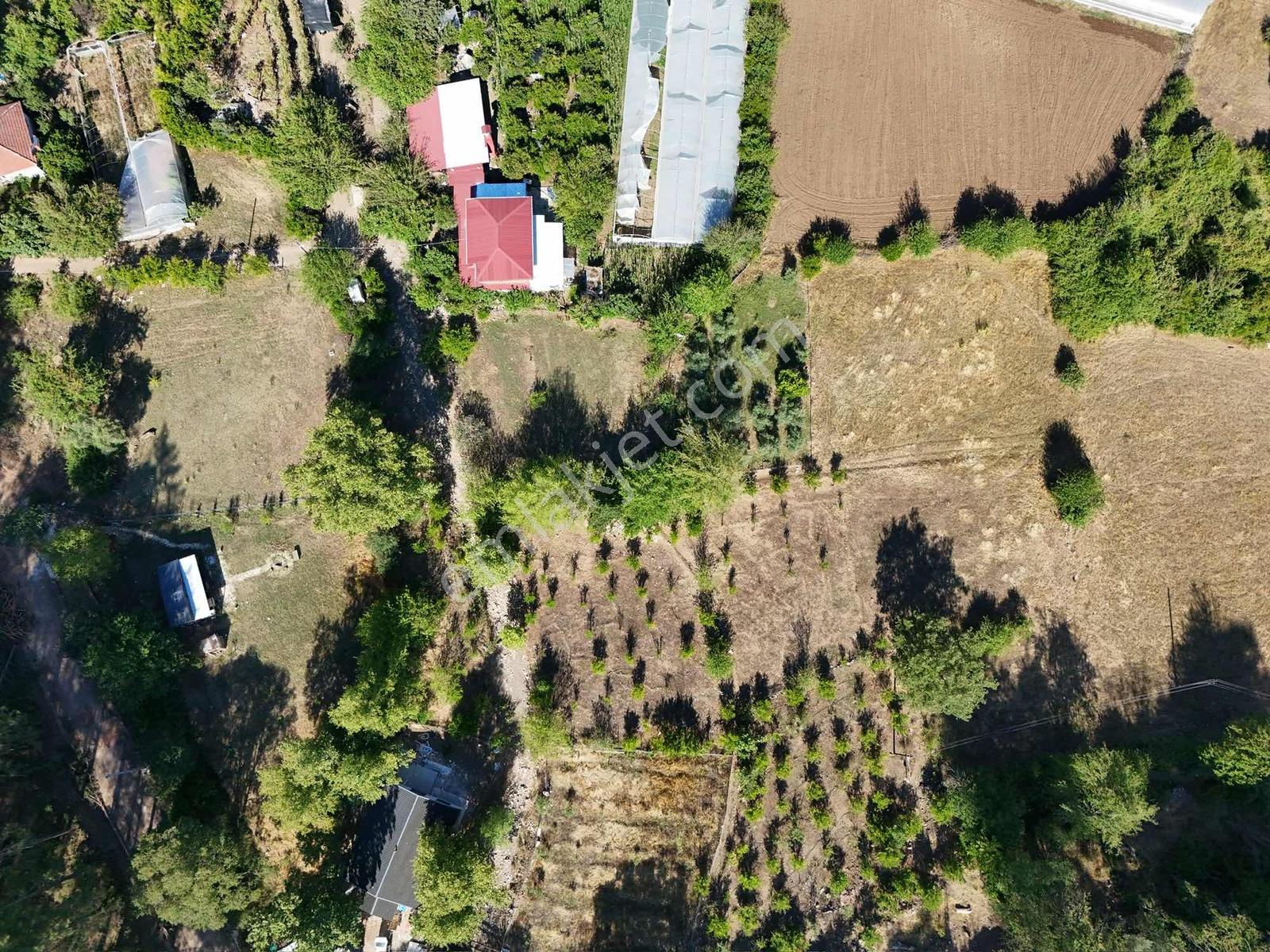 Kumluca Karacaören'de Köy Yerleşim Alanında 680 M2 Satılık Bahçe - Görsel 22