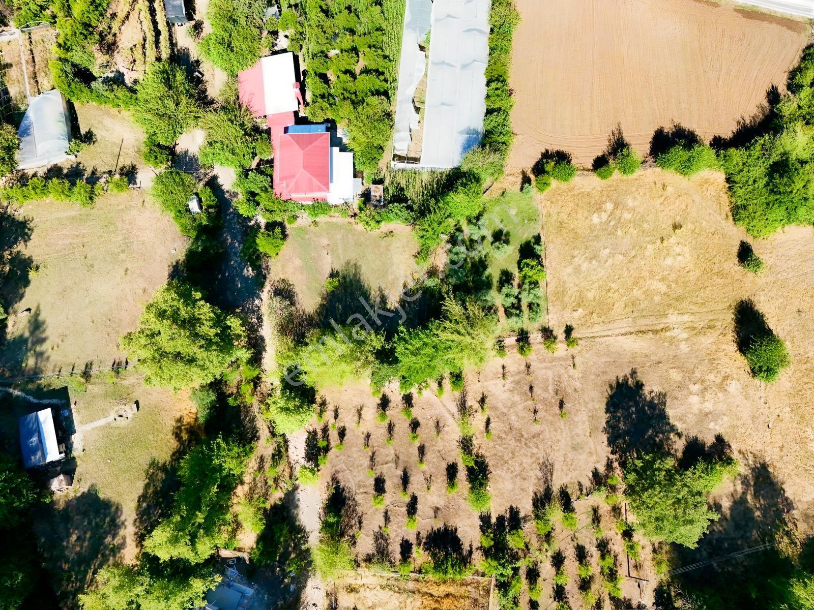 Kumluca Karacaören'de Köy Yerleşim Alanında 680 M2 Satılık Bahçe - Görsel 32