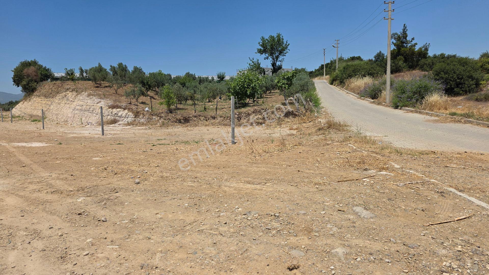 Bal Gayrimenkul Den 250m2 Satılık Bahçe - Görsel 11