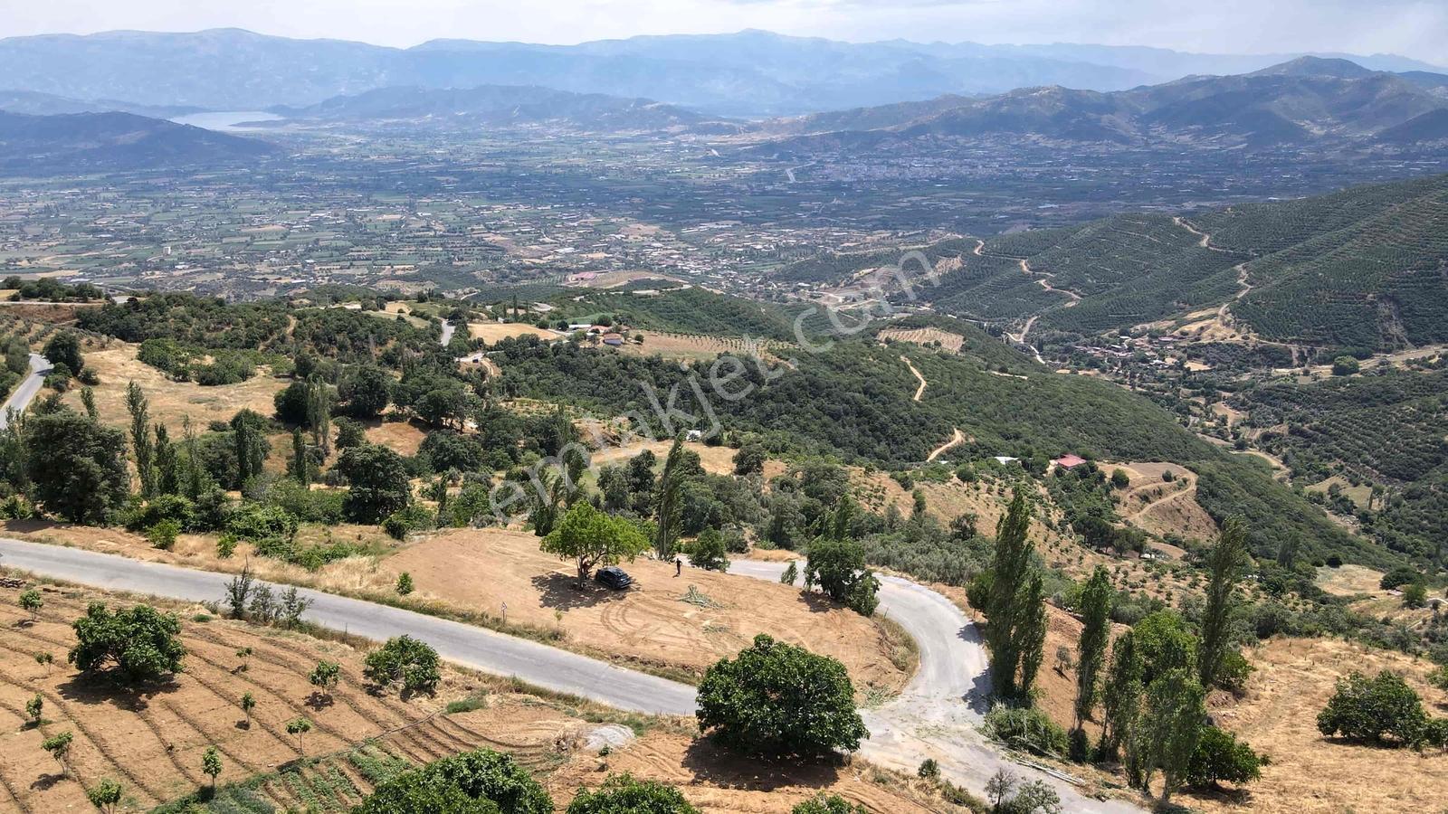Meta'dan Kiraz Çanakçı Da 2 Adet Yol Kenarı Teraslı Tarla - Görsel 14