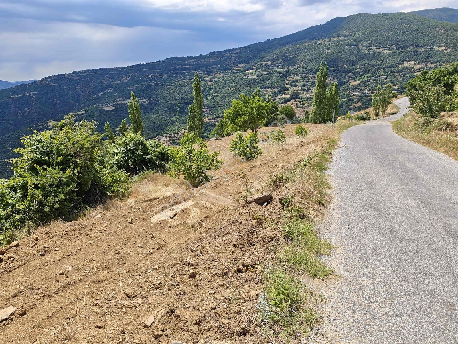 Meta'dan Kiraz Çanakçı Da 2 Adet Yol Kenarı Teraslı Tarla - Görsel 7