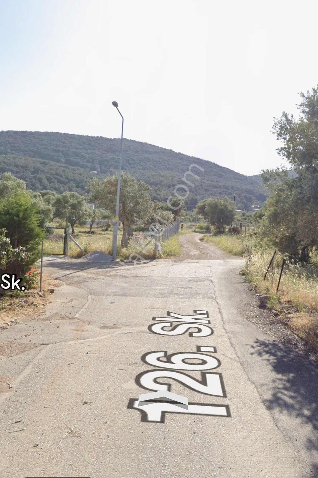 İzmir Urla Güvendik Denize Yürüme Mesafesinde 960m2 Hisse - Görsel 10