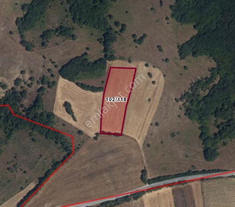 Kavak Tekke Mahallesi 6.166 M2 Satılık Tarla