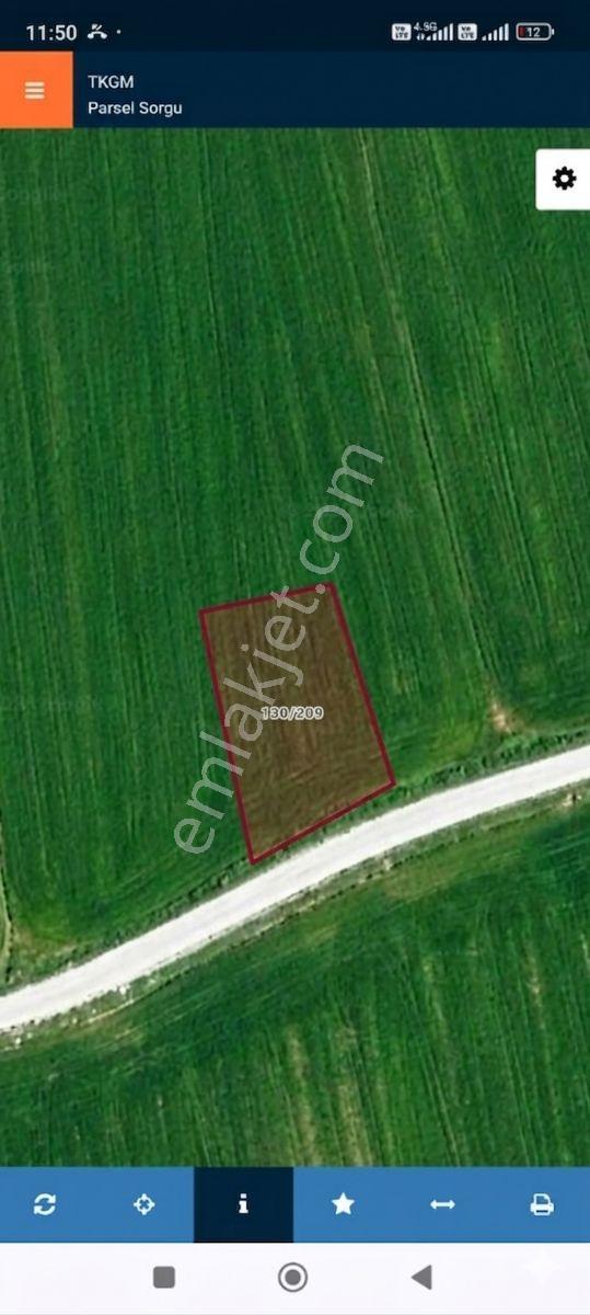 Burdur Bucak Ürkütlü Köyü Satılık 800m2 Tarla