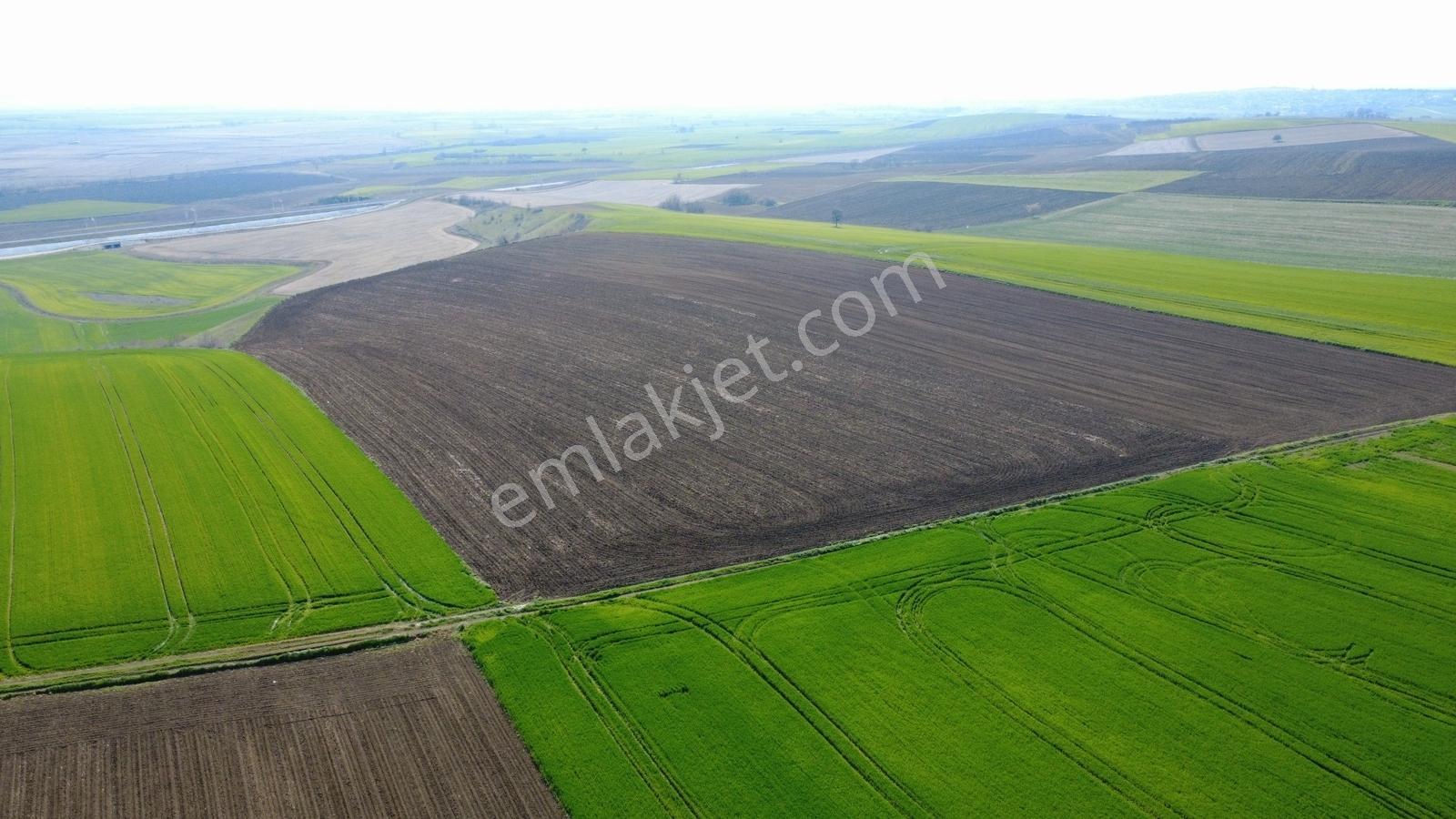 **oklalı Köyü 2 Tapu Tek Fiyat 20.481 M2 ** - Görsel 13