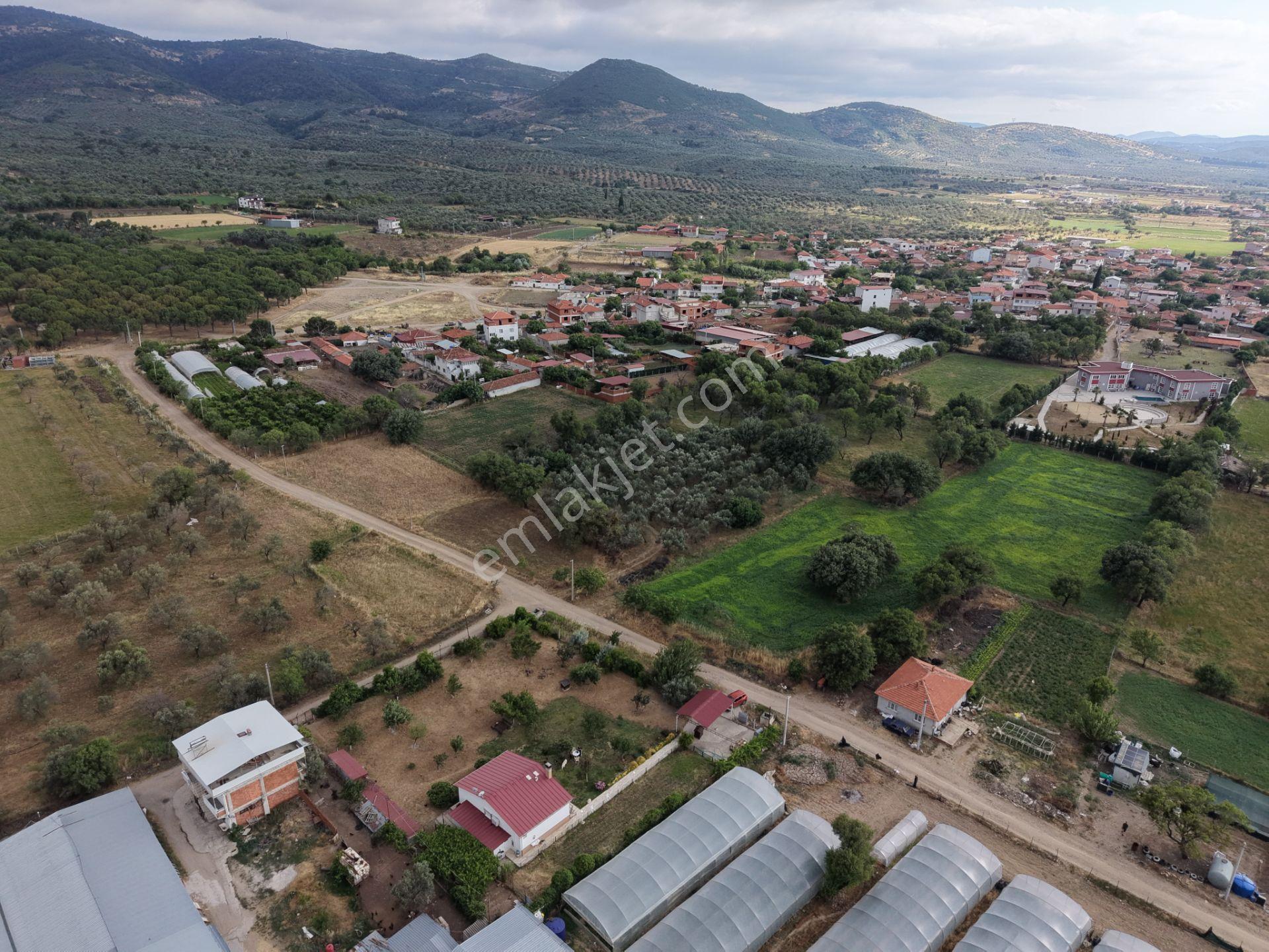 Mera Emlaktan Burhaniye Kızıklı'da İmara Yakın 5.820m2 Zeytinlik - Görsel 7
