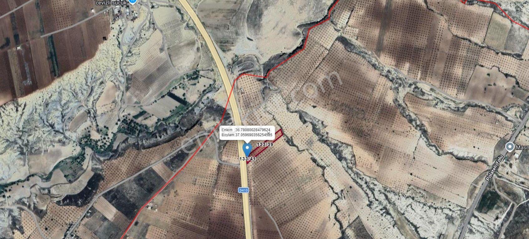 Babil Emlaktan Satılık Asfalt Üzeri Şehre Yakın Tonluk Zeytinlik - Görsel 18