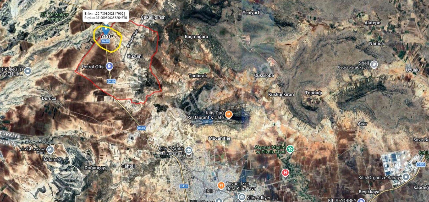 Babil Emlaktan Satılık Asfalt Üzeri Şehre Yakın Tonluk Zeytinlik - Görsel 20