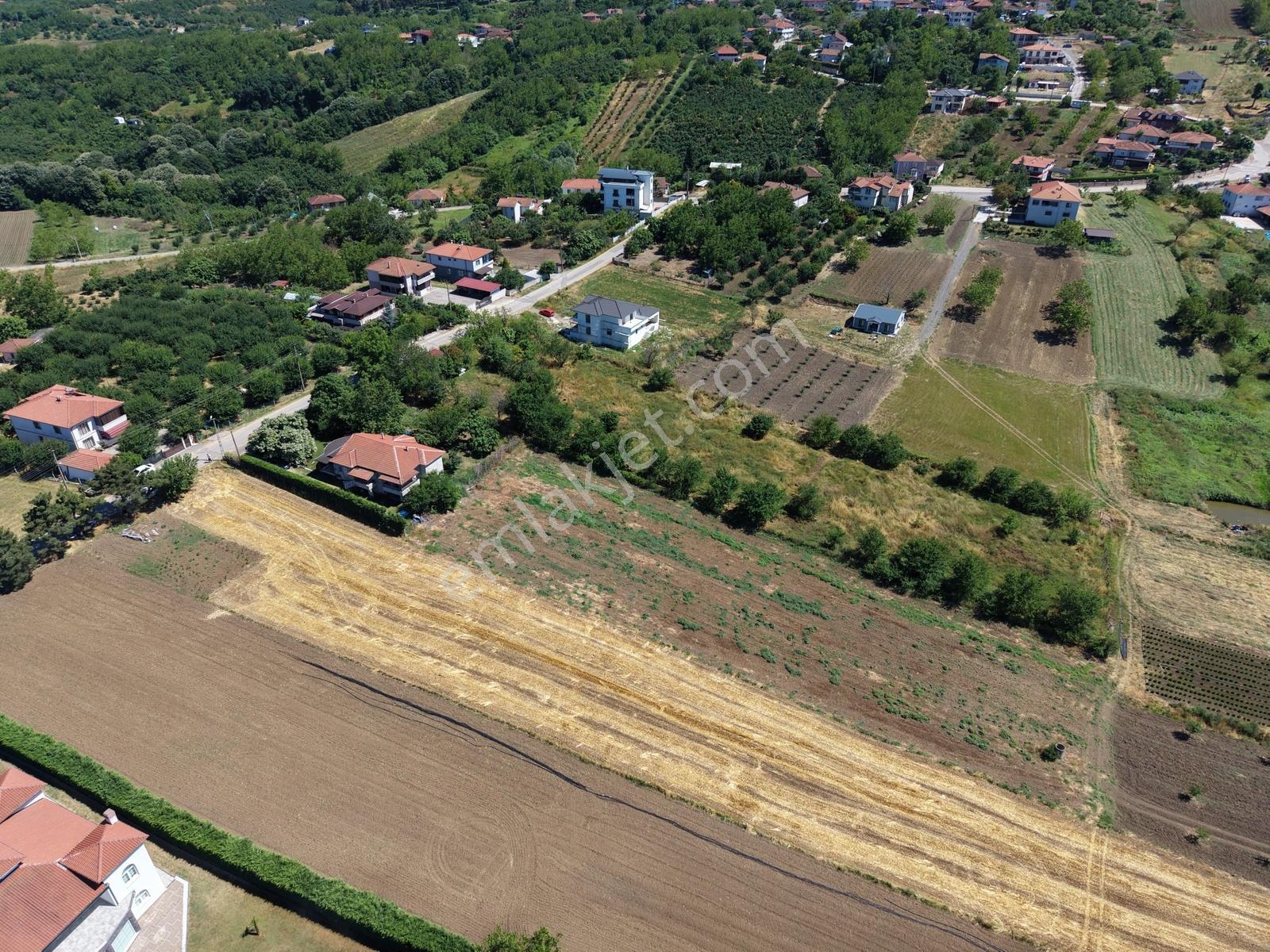 Emlakevim - Serdivan Çubuklu Mh. 4.783 M2 Arsa + Müstakil Ev - Görsel 3