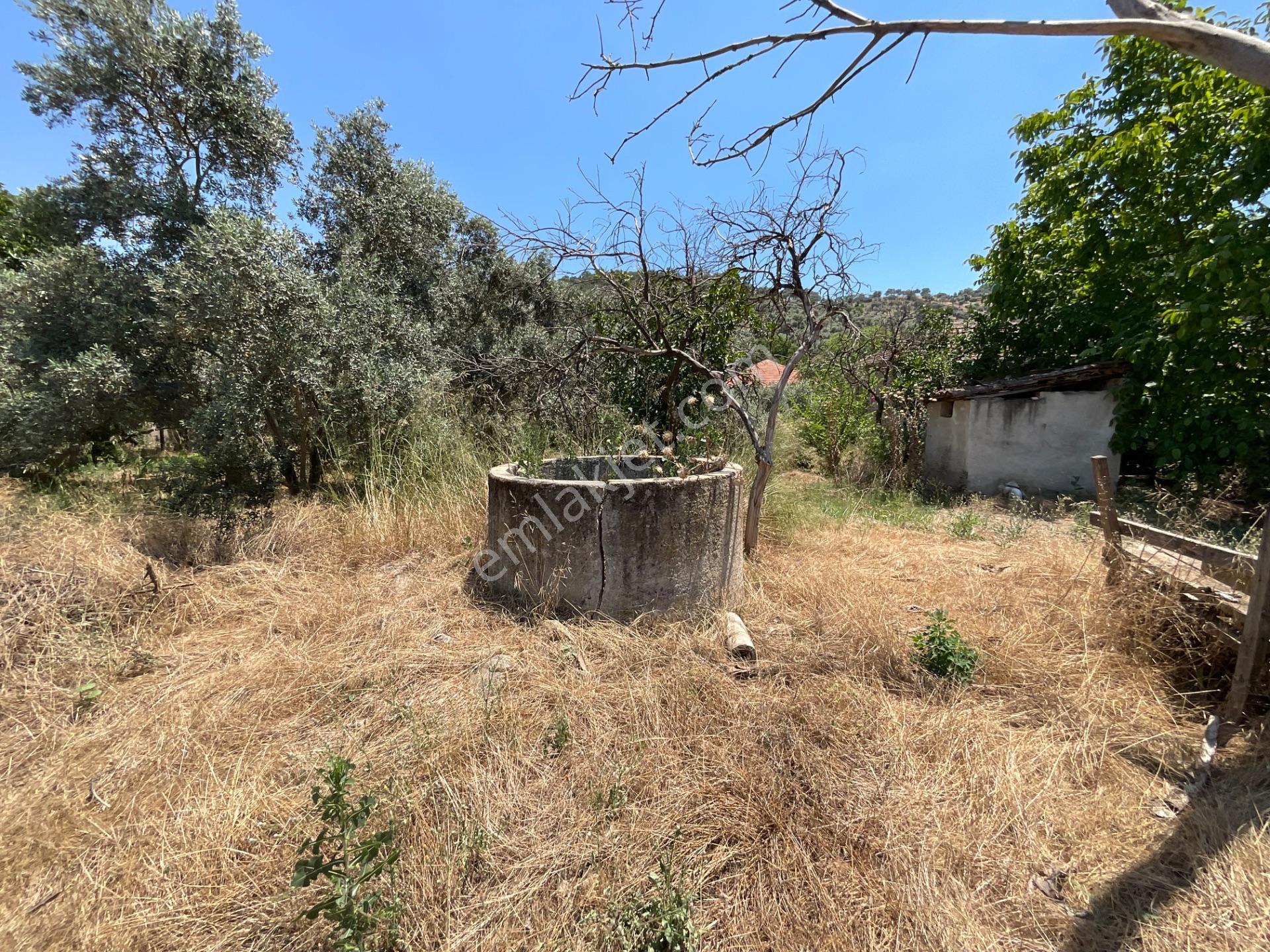 Satılık 1800m2 Bahçe İçinde Tapuya Kayıtlı Kagir Ev - Görsel 10