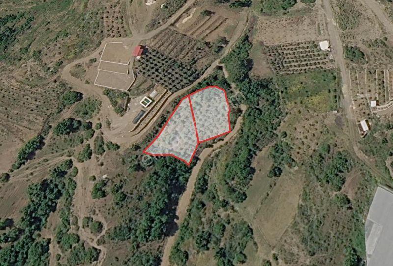 Hem Gelir Hem Yaşam Hem Yatırım! Villalar Bölgesinde 2.135 M² - Görsel 6