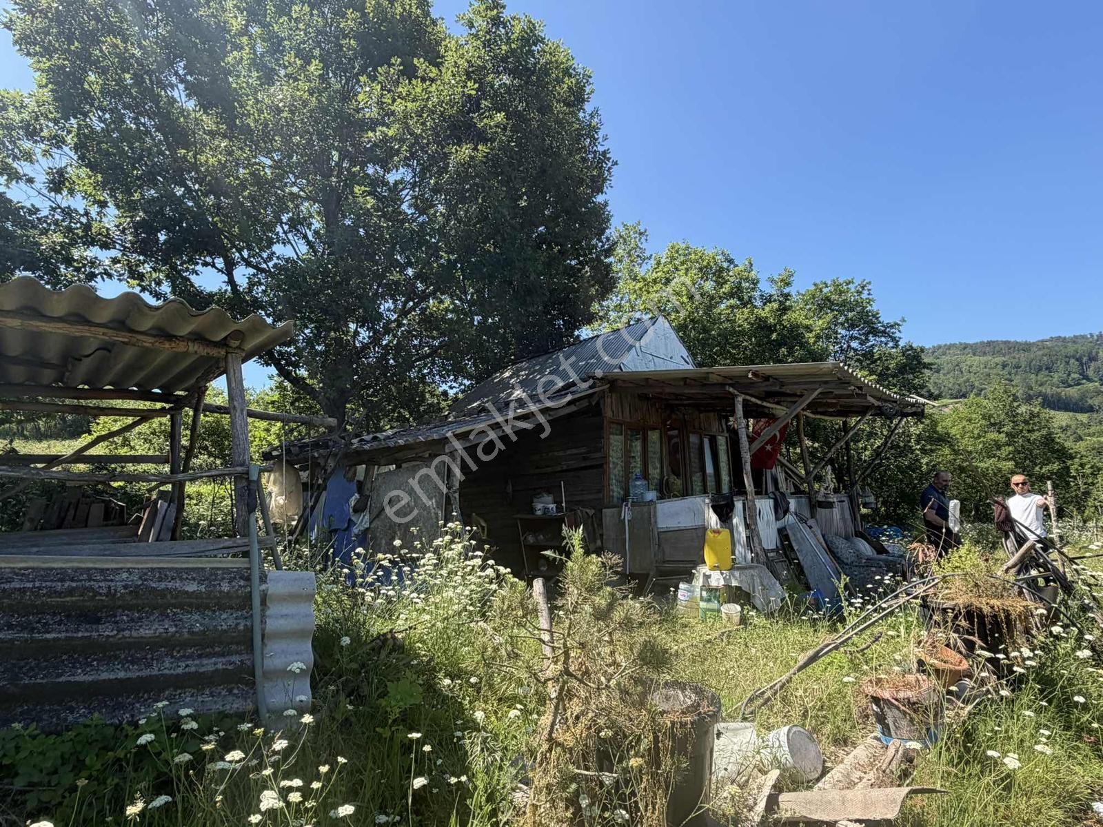 Yalova Çiftlikköy Sermayecikte 3.632 M² Müstakil Tapulu