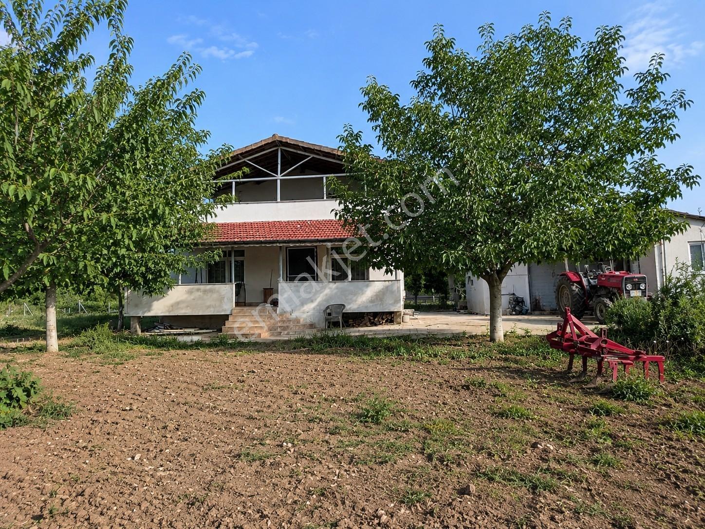 Ceviz Bahçesi, Çiftlik Evi Ve Hazır Altyapısıyla Yatırım Fırsatı - Görsel 9