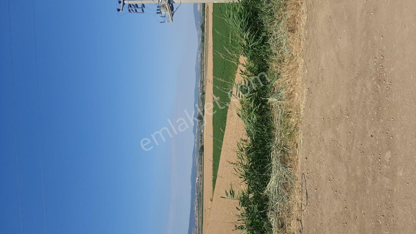 Bursa Karacabey Tophisar'da 8.450 M2 Tek Tapu Yatırımlık Tarla - Görsel 5