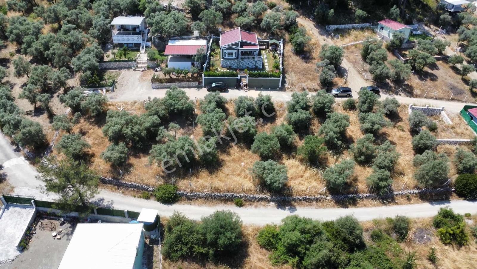 Menderes Ataköy'de Ege Zeytindalı Kooperatifinde Satılık Parsel