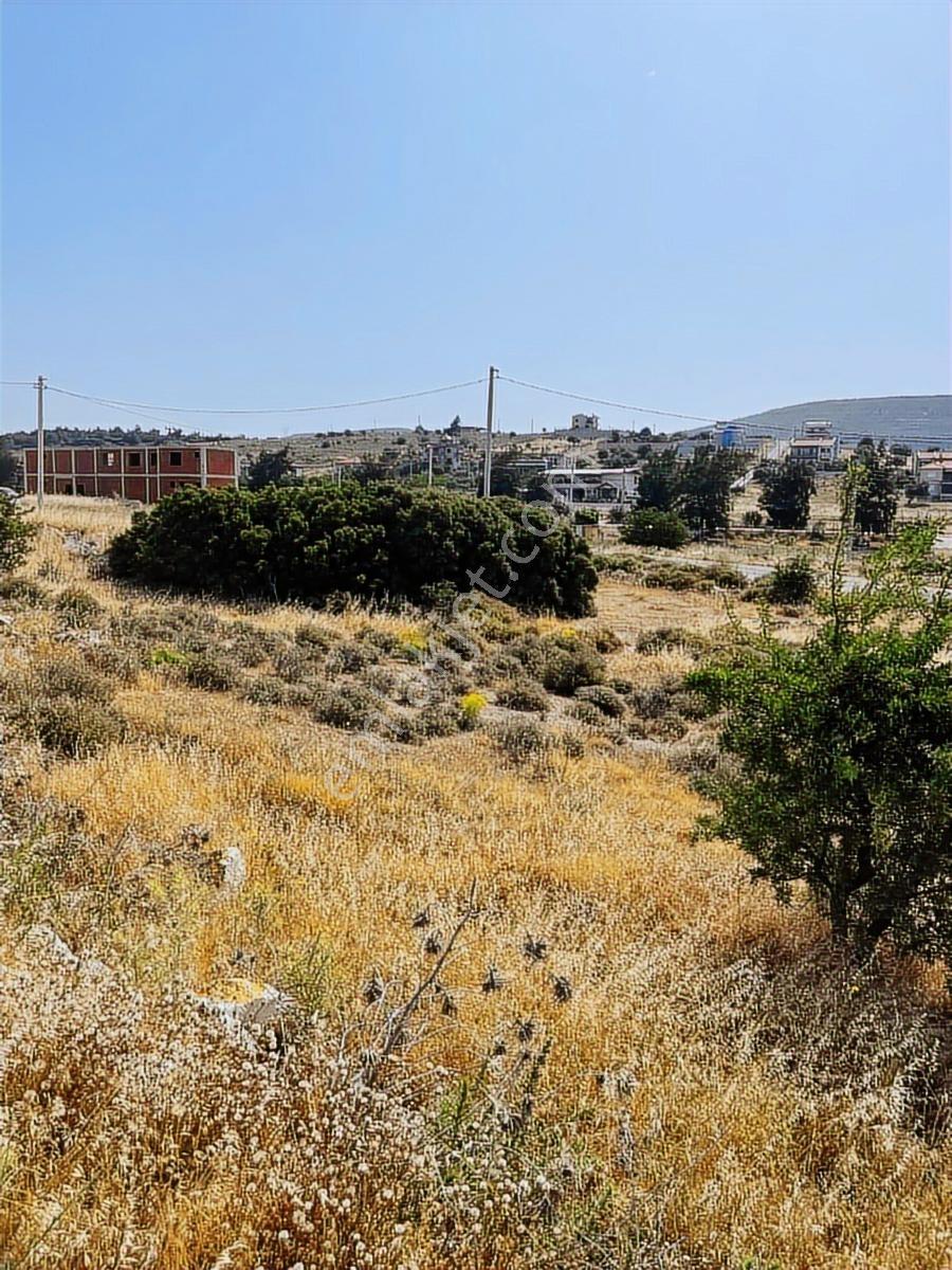 Foça Gerenköy Anayola Yakın Satılık Arsa - Görsel 8