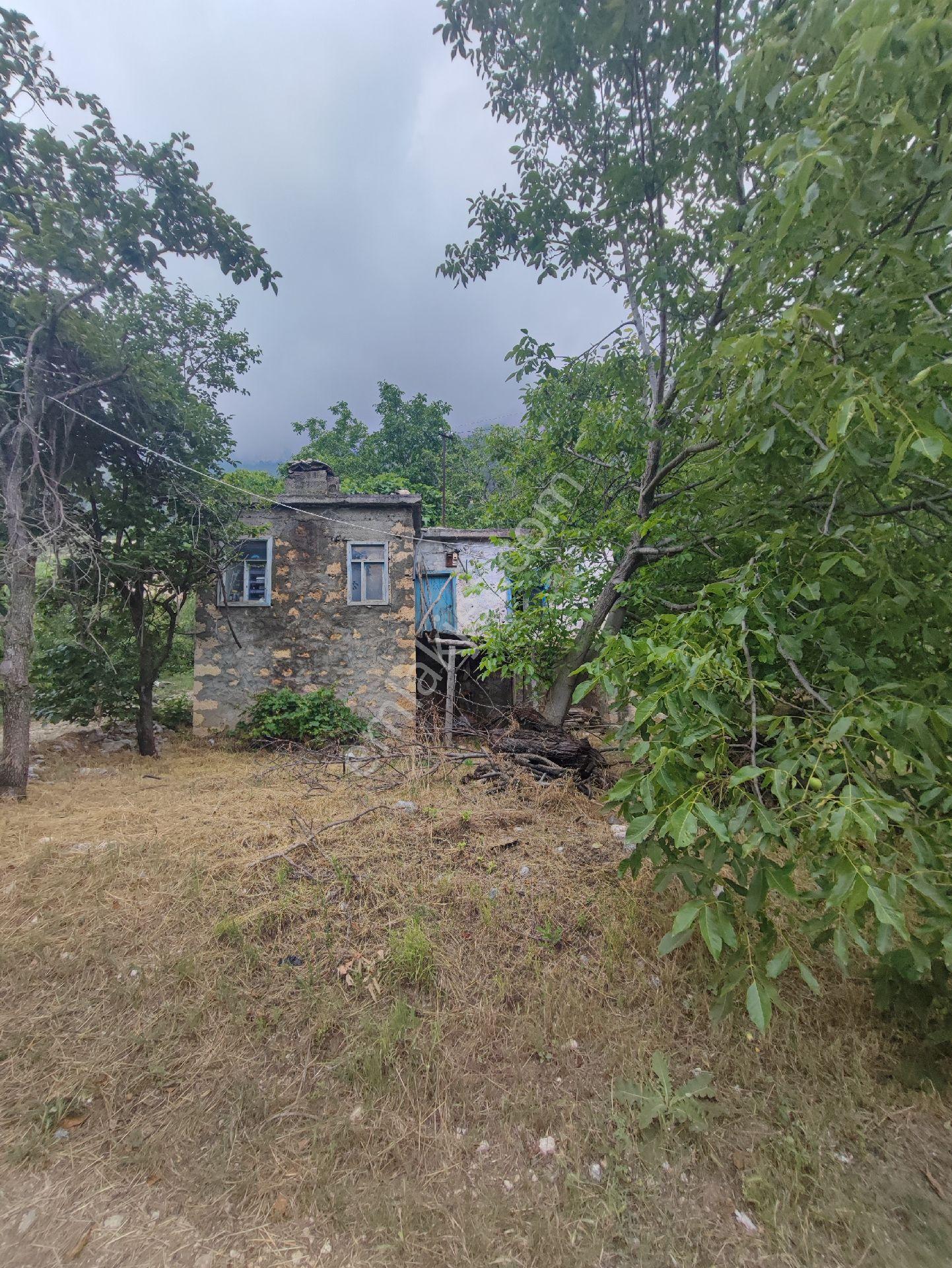 Satılık Yayla Evi - Görsel 5