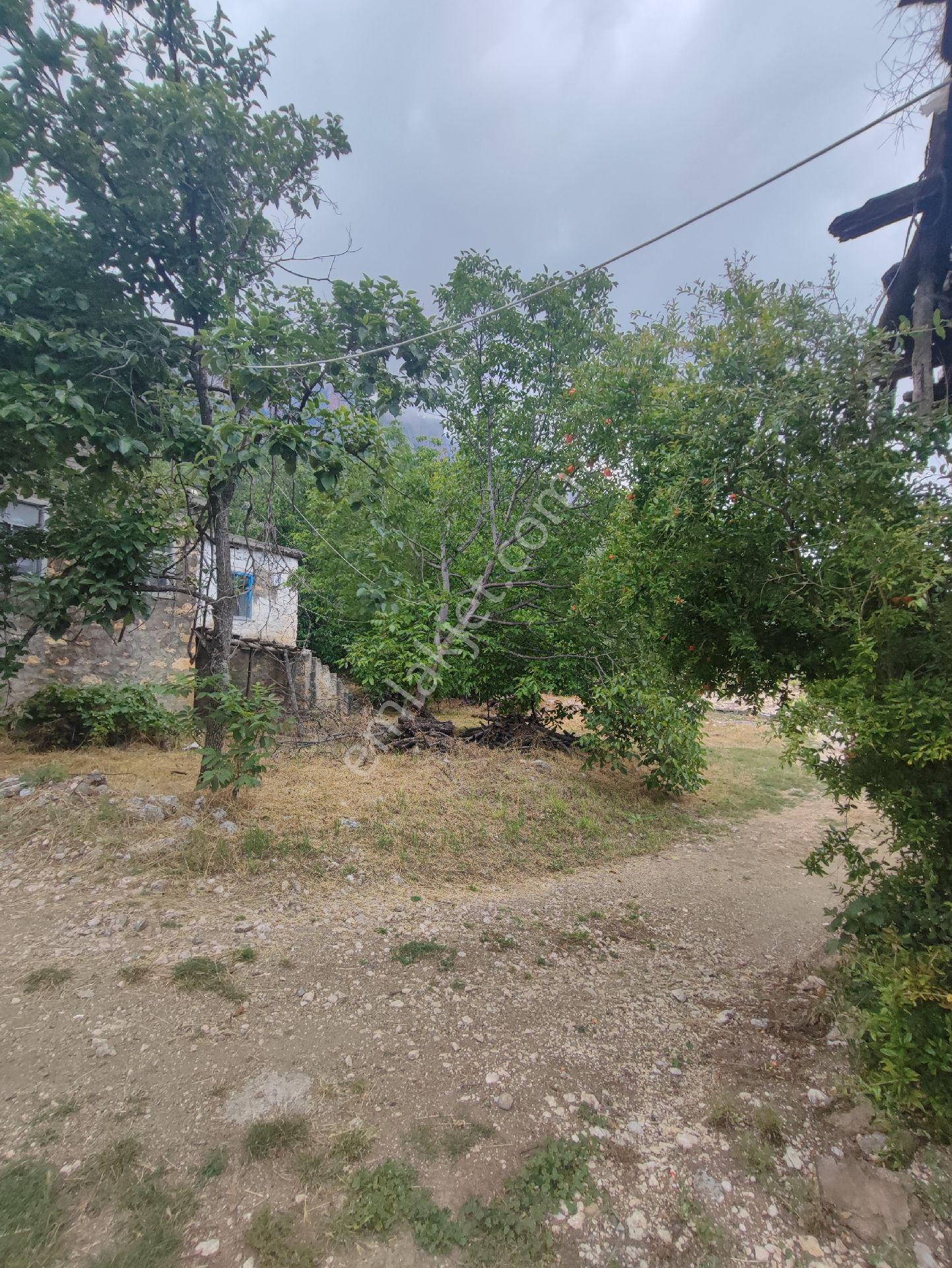 Satılık Yayla Evi - Görsel 4
