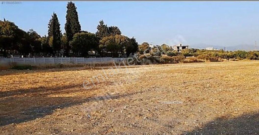 İmar Sınırında!!!foça Ilıpınar Da 10 Dönüm Satılık Tarla - Görsel 24