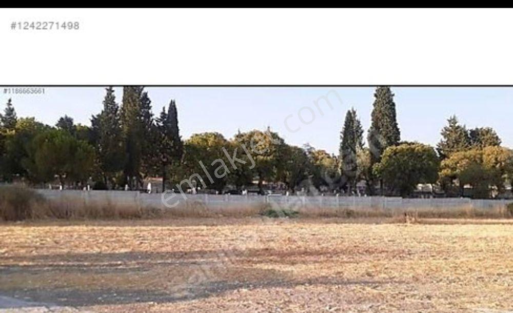 İmar Sınırında!!!foça Ilıpınar Da 10 Dönüm Satılık Tarla - Görsel 31