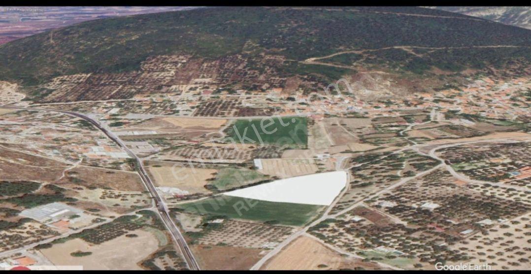 İmar Sınırında!!!foça Ilıpınar Da 10 Dönüm Satılık Tarla - Görsel 19